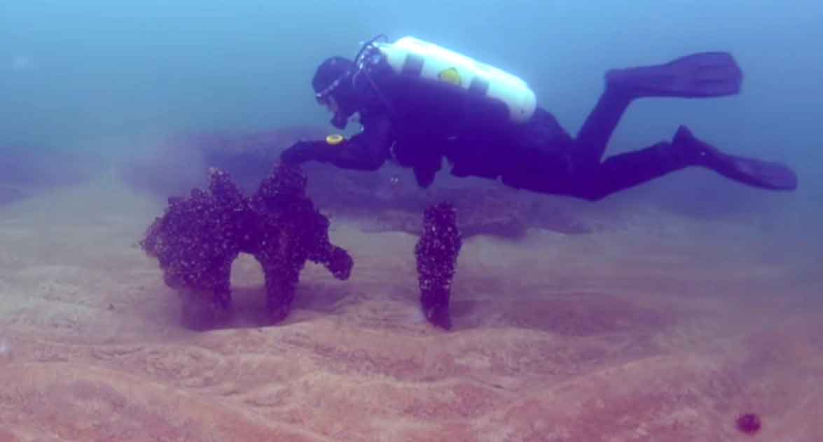 Atlantis’in izinde: İsveç’te gizemli su altı kalıntıları bulundu