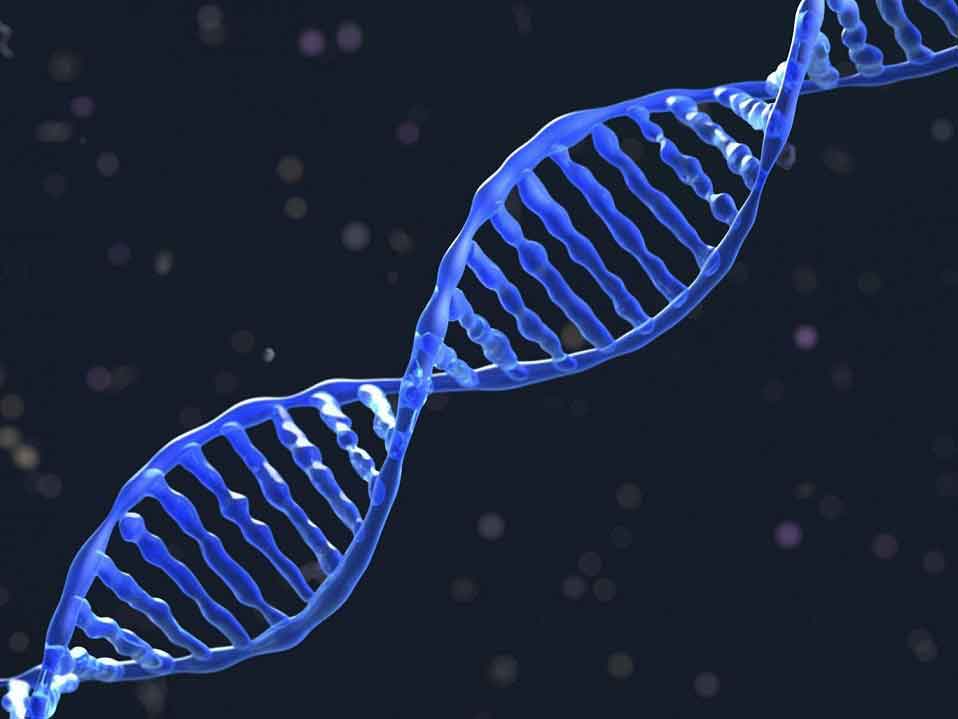 Çığır açan DNA keşfi: Beynin yaşlanması geciktirilebilir