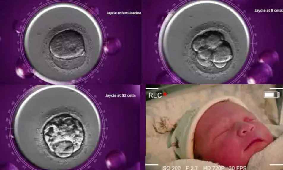 Bir bebeğin ilk hücreleri fotoğraflandı