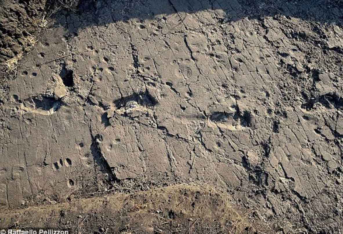 3,7 milyon yıllık ayak izleri