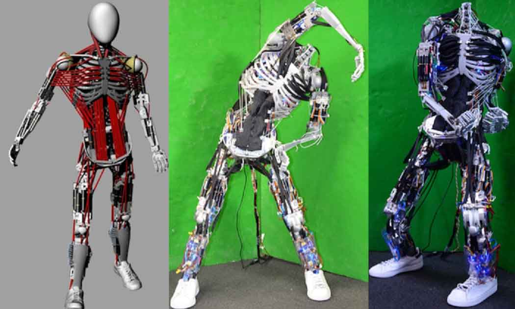 Kas ve iskelet yapımıza en çok benzeyen robot: Kenshiro