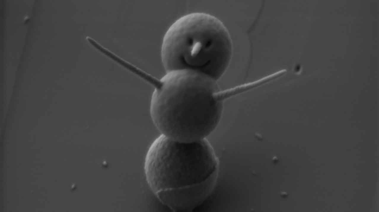 Mikroskopla görülebilen kardan adam