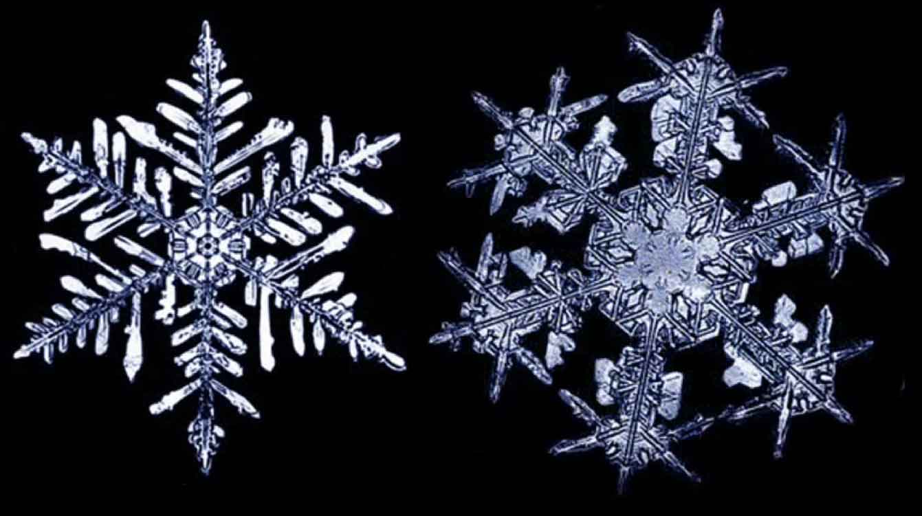 Kar kristalindeki sanat (Video)