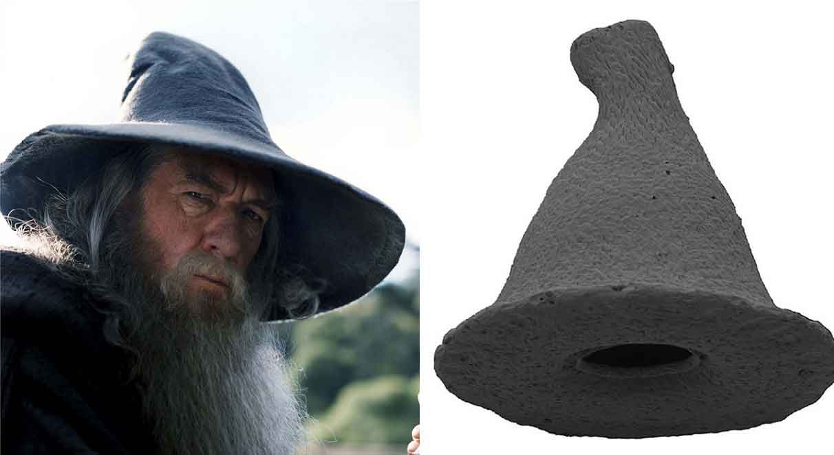 Tek hücreli ‘şapkaya’ Gandalf adı verildi
