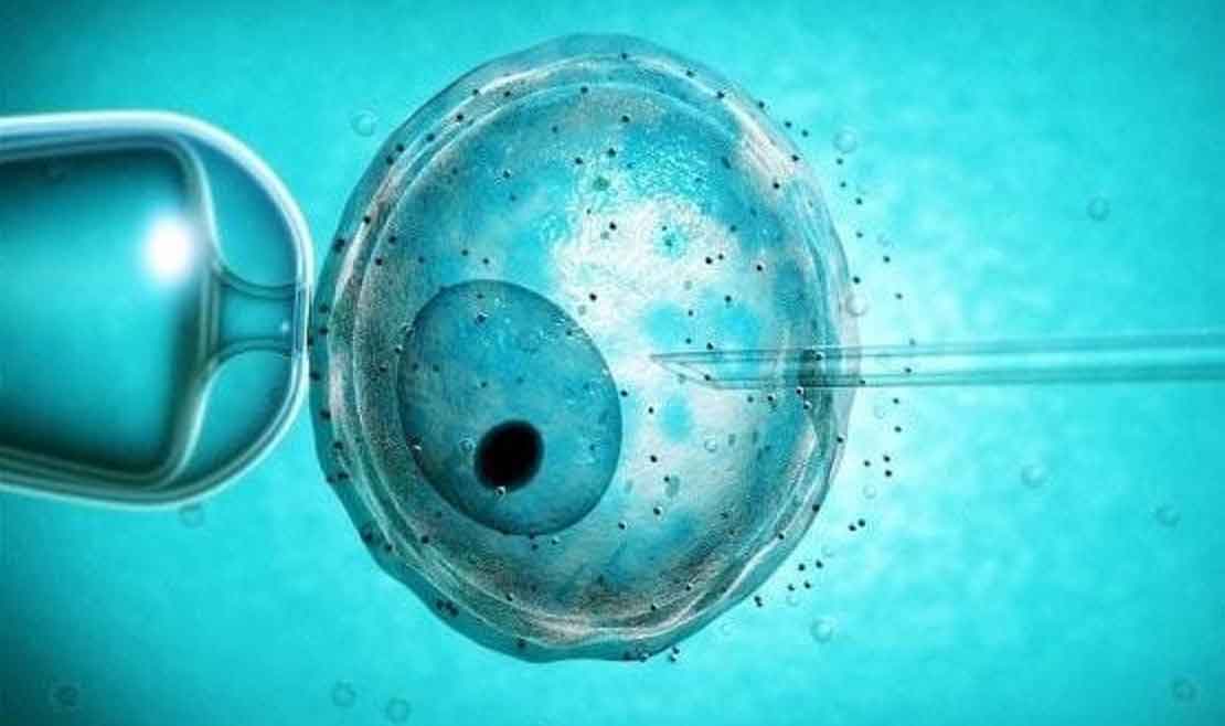 Dondurulmuş embriyo 16 yıl sonra doğdu