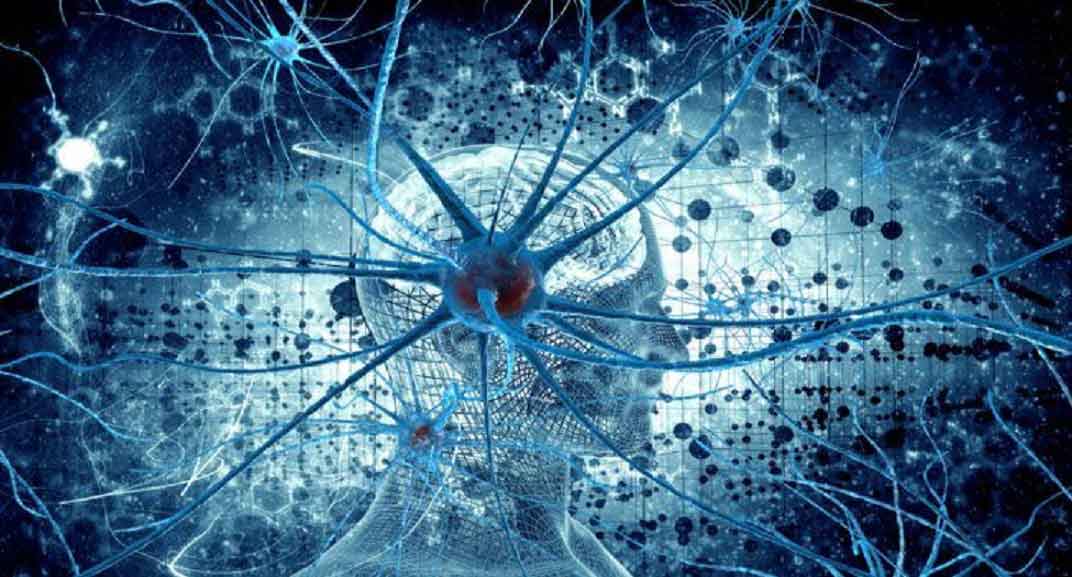 İnsan beyni 11 boyutlu yapılar oluşturabiliyor