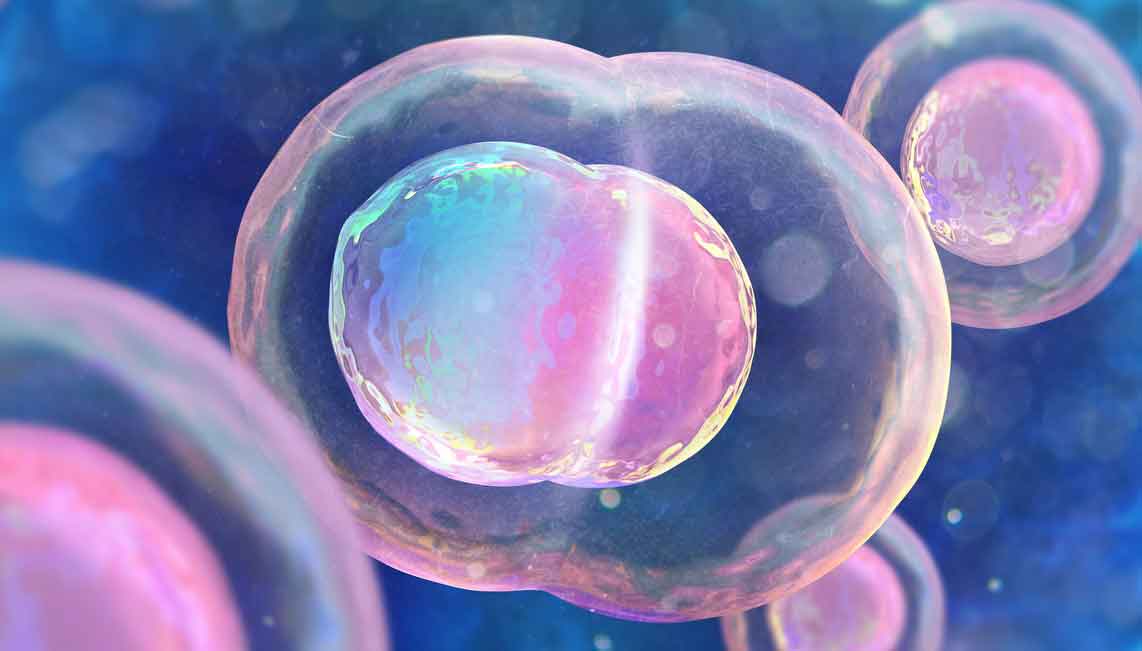 İlk kez insan embriyosundan hastalıklı gen çıkarıldı