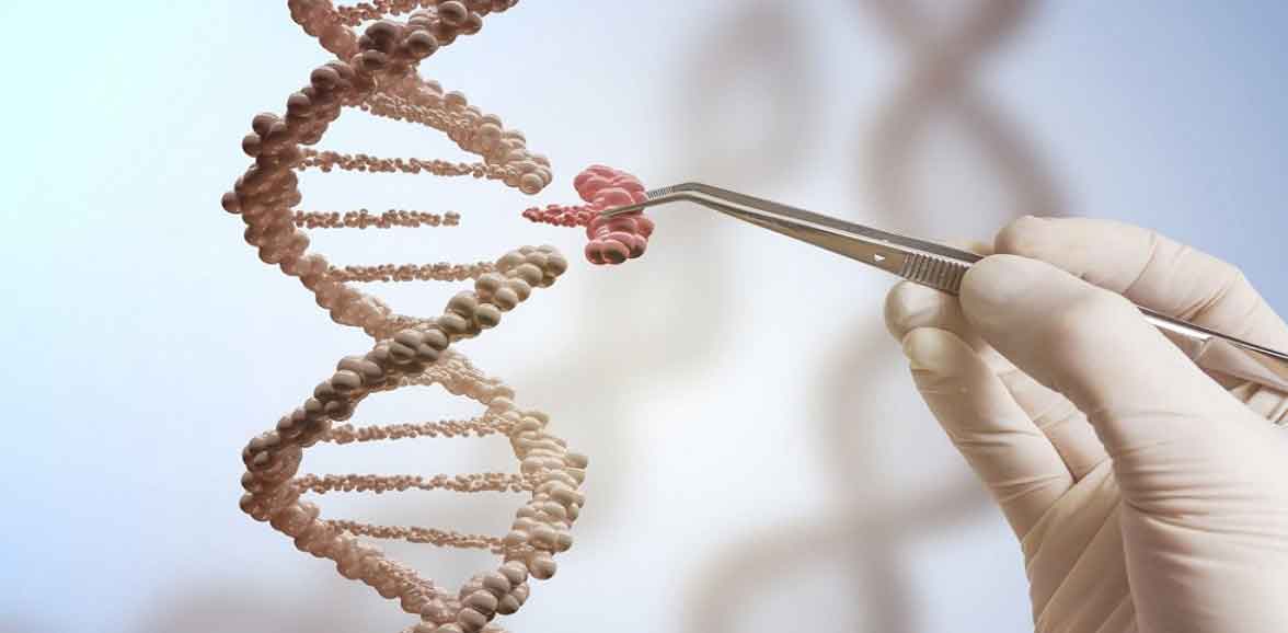 İnsan embriyosundan anemi geni çıkarıldı