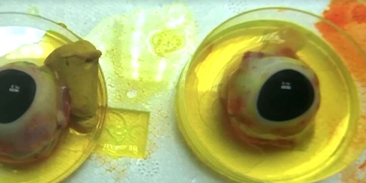‘Nano damla’ ile gözlük ve lenslere elveda (Video)