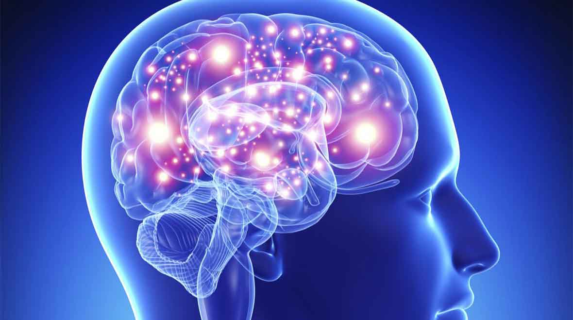 Araştırma: 60 yaşına kadar beyin performansı düşmüyor!